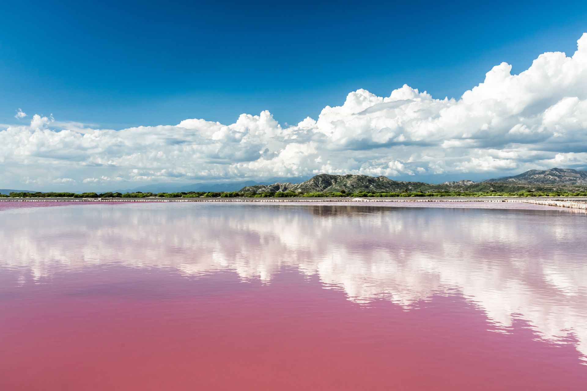 Růžové jezero Hillier 