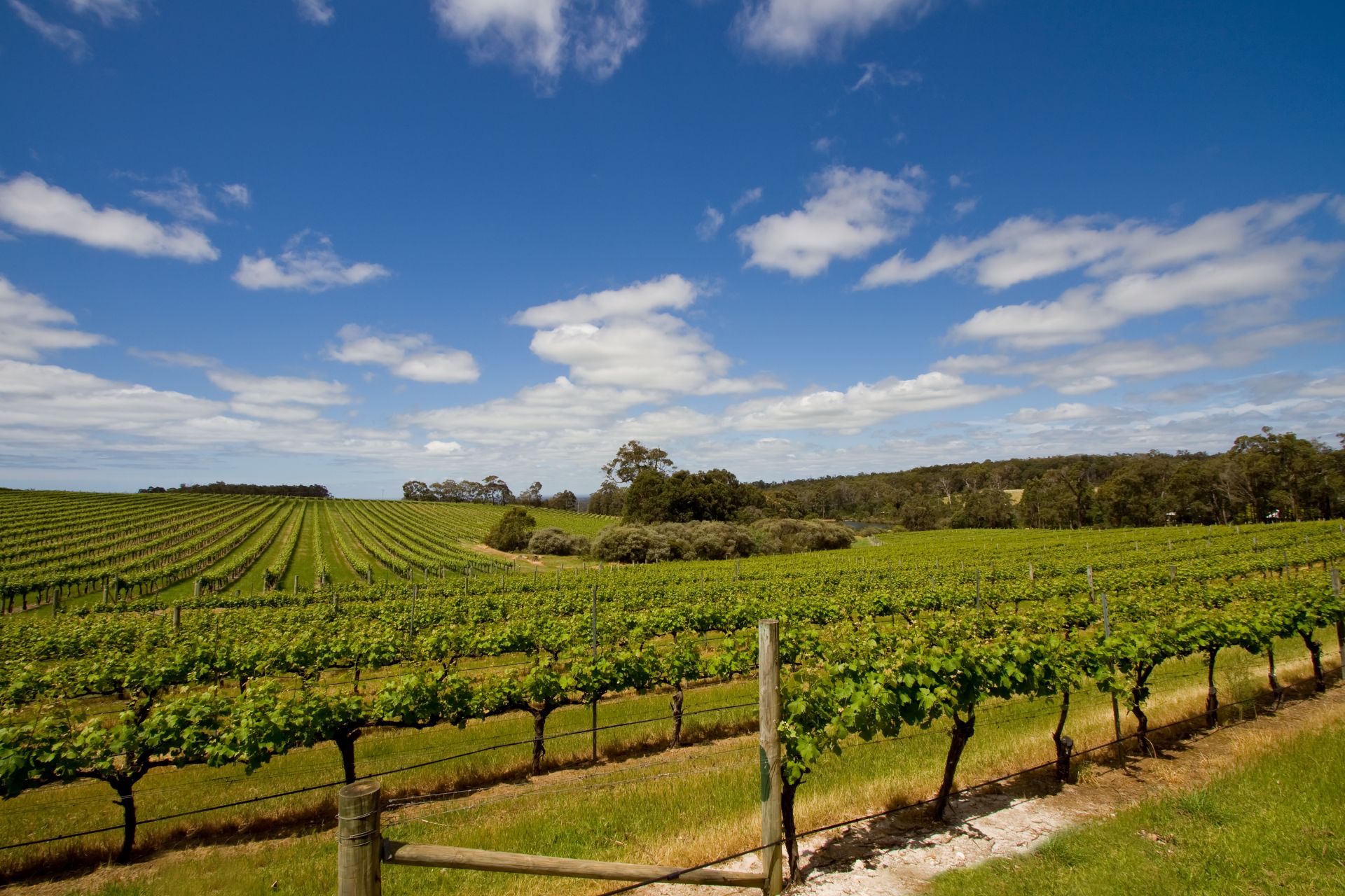 Margaret river region