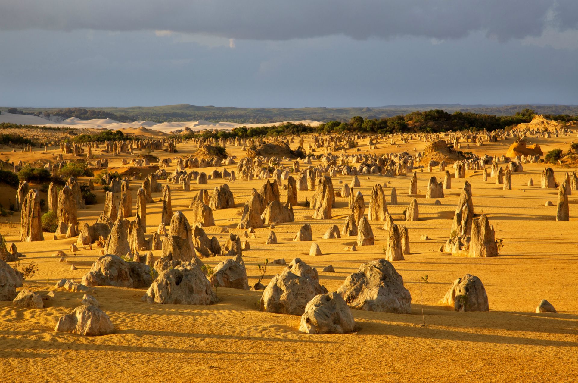 Pinnacles desert