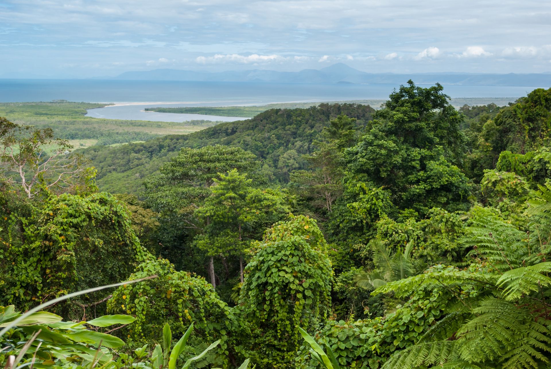  Daintree National Park