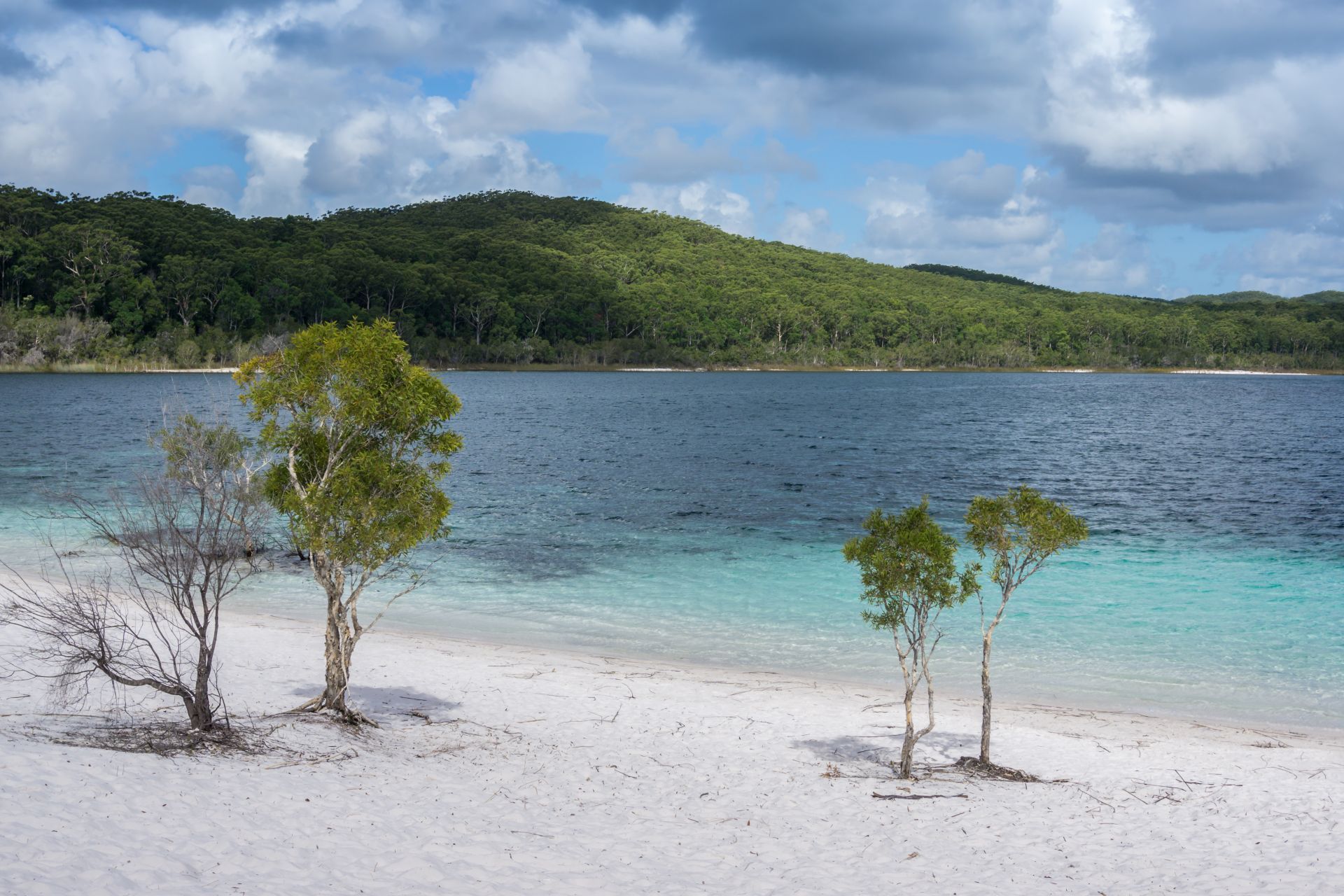 Jezero Mckenzie Fraser Island